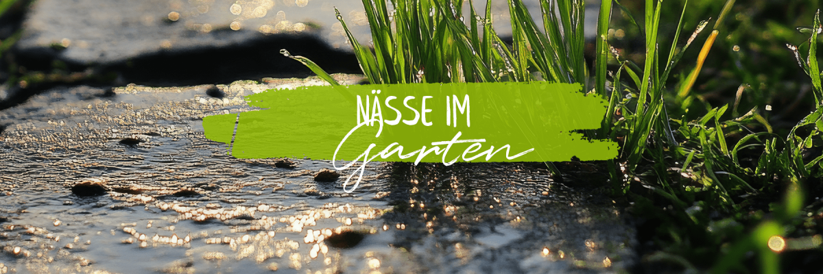 Nässe im Garten - Zu feuchter Garten? Was nun?