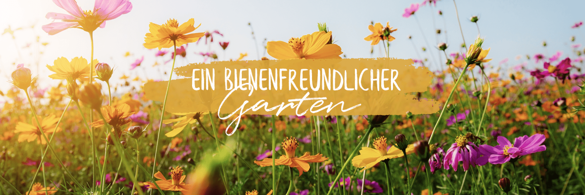 Ein bienenfreundlicher Garten - Ein bienenfreundlicher Garten