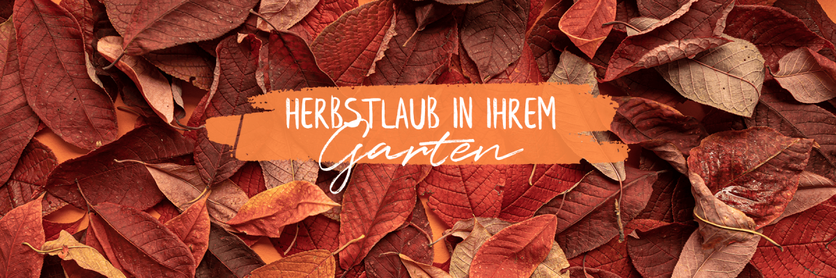 Einfach mal liegen lassen - 