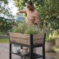 Keter Hochbeet DARWIN 110L Holzoptik Pinie