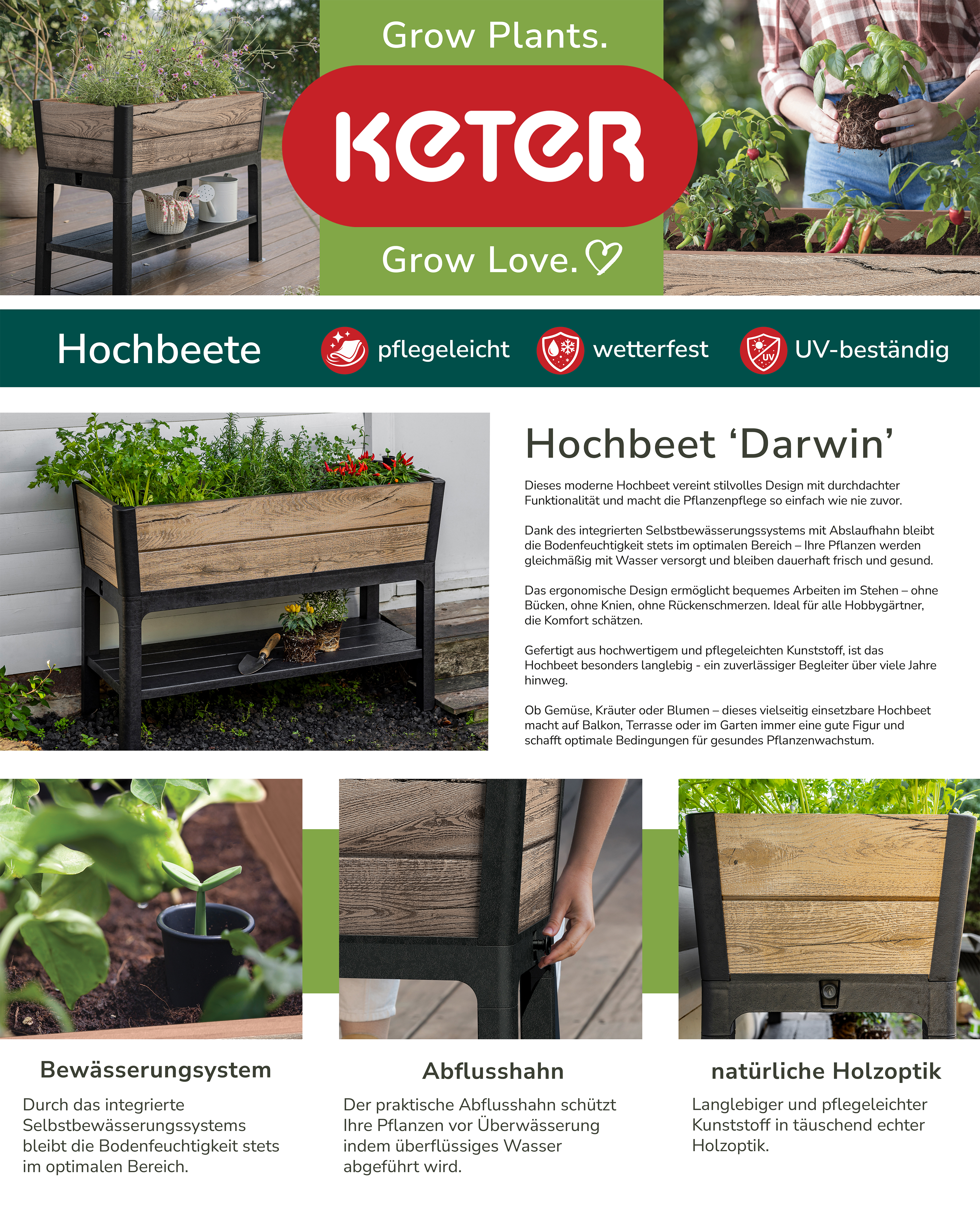 Hochbeet mit Selbstbewässerung – clever gärtnern auf komfortabler Arbeitshöhe  Dieses moderne Hochbeet vereint stilvolles Design mit durchdachter Funktionalität und macht die Pflanzenpflege so einfach wie nie zuvor. Dank des integrierten Selbstbewässerungssystems bleibt die Bodenfeuchtigkeit stets im optimalen Bereich – Ihre Pflanzen werden gleichmäßig mit Wasser versorgt und bleiben dauerhaft frisch und gesund.  Für zusätzliche Sicherheit sorgt der praktische Abflusshahn, der überschüssiges Wasser zuverlässig ableitet und so Staunässe sowie Überwässerung verhindert. Perfekt für alle, die ihren Pflanzen die bestmögliche Pflege bieten möchten.  Das ergonomische Design ermöglicht bequemes Arbeiten im Stehen – ohne Bücken, ohne Knien, ohne Rückenschmerzen. Ideal für alle Hobbygärtner, die Komfort schätzen.  Gefertigt aus hochwertigem, langlebigem Harz, ist das Hochbeet besonders robust, wetterbeständig und verrottungsfrei – ein zuverlässiger Begleiter über viele Jahre hinweg. Die einfache Montage erfolgt schnell und unkompliziert, ganz ohne Spezialwerkzeug.  Ob Gemüse, Kräuter oder Blumen – dieses vielseitig einsetzbare Hochbeet macht auf Balkon, Terrasse oder im Garten immer eine gute Figur und schafft optimale Bedingungen für gesundes Pflanzenwachstum.  Artikelmerkmale  Fassungsvermögen ca. 110 Liter Maße: 113 x 47,5 x 79,8 cm (L x T x H) naturgetreue Holz-Optik Pinie UV- & wetterbeständig für Innen- & Außenbereich geeignet  Lieferumfang  1x Keter Hochbeet DARWIN 110L Holzoptik Pinie